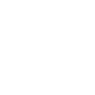 Radiate Campfire Co.